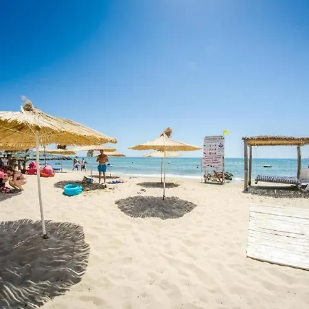 Premier 스베티 블라스